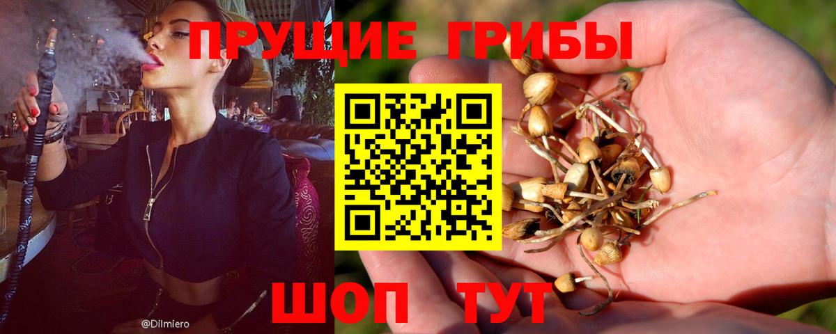 Кирово-Чепецк  Галлюциногенные грибы мицелий  Вход с VPN 